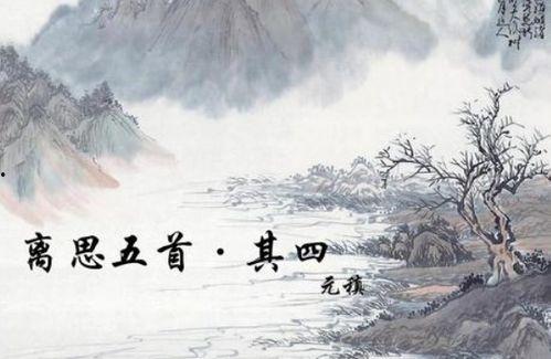 曾是惊鸿照影来,一段传奇岁月的璀璨回眸