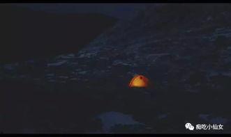 黑暗微光,在黑暗微光中探寻光明之路